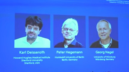 Premiul Nobel pentru Medicină. Un întrerupător pentru celulele nervoase arată cum comunică între ele și cum funcționează creierul