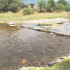În Spania un râu s-a înnegrit din cauza cenușii provenite de la incendiile forestiere apa potabilă din orașe este afectată