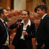 Oana Țoiu Nu vom vota cele șase luni propuse de PSD până dărâmă iar Guvernul României