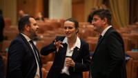 Oana Țoiu Nu vom vota cele șase luni propuse de PSD până dărâmă iar Guvernul României
