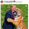 Donald Trump provoacă iar indignare după ce a publicat imagini cu un tânăr sfâșiat de tigru apoi s-a înfățișat îmblânzind fiara într-un videoclip făcut cu AI  VIDEO