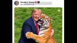 Donald Trump provoacă iar indignare după ce a publicat imagini cu un tânăr sfâșiat de tigru apoi s-a înfățișat îmblânzind fiara într-un videoclip făcut cu AI  VIDEO